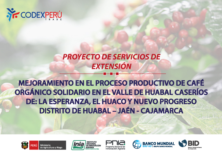  En Soluciones Empresariales