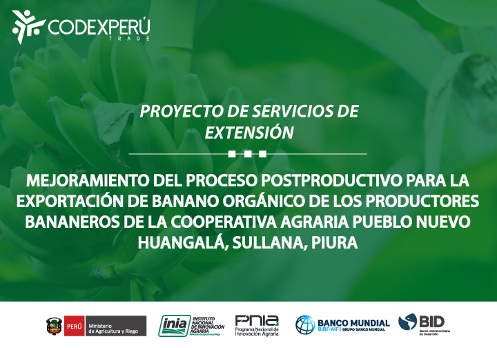  En Soluciones Empresariales