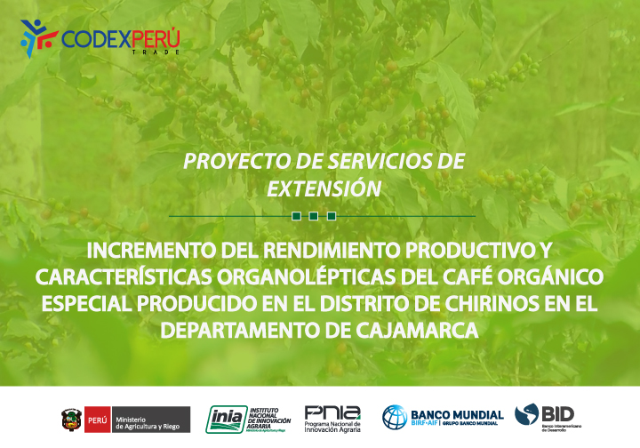  En Soluciones Empresariales